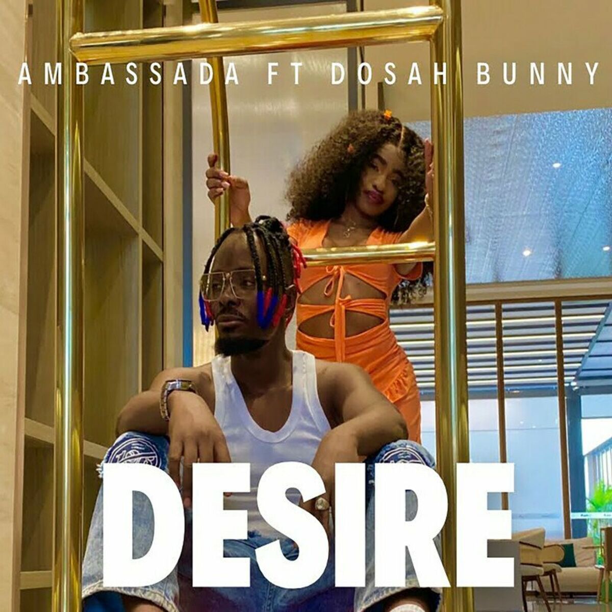 Desire album cover